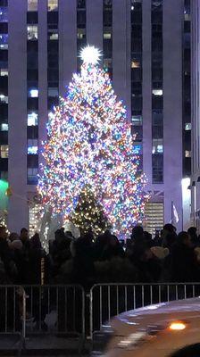 Merry Christmas - Rockefeller Tree