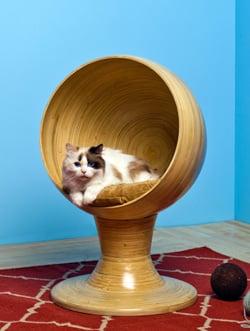 Kitty Ball Cat Bed from The Refined Feline