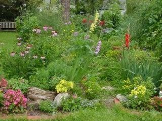 My Side Garden!!...Love My Gardens!!...