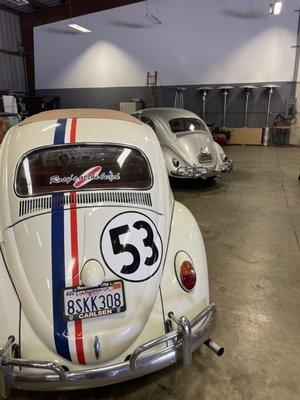 Car collection. Herbie the love bug!