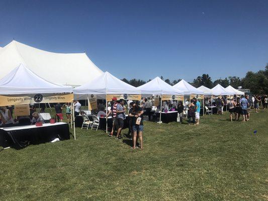 So many wine tasting booths! This was only a 3rd of them