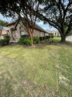 Sod Installation