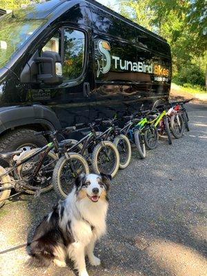 TunaBird's favorite pedal-sniffer "Turtle" making sure these kid's bikes are good to go