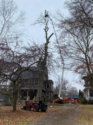 Paul's Tree Service