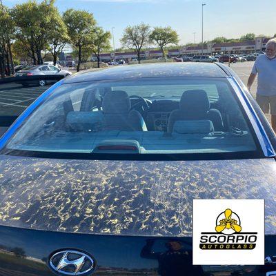 Hyundai Elantra back glass replaced cause of hail storm