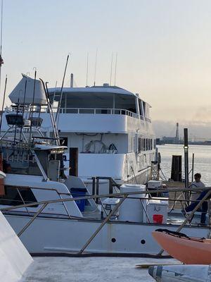 Party boat  ready tongue