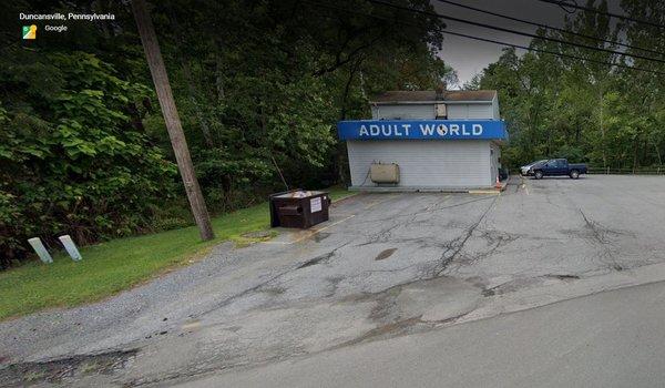 Adult World