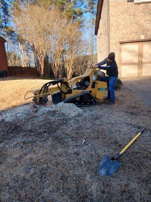 to cut trees