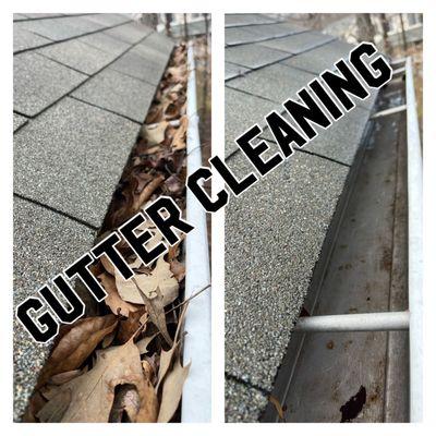 Gutter Cleaning