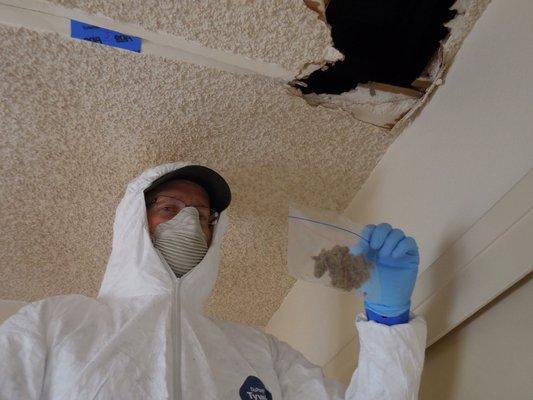 BioMax performs asbestos inspections and sampling