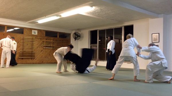 A mix of young and old with practitioners of all levels attending each class. Each person seeks to discover what Aikido means to him or her.