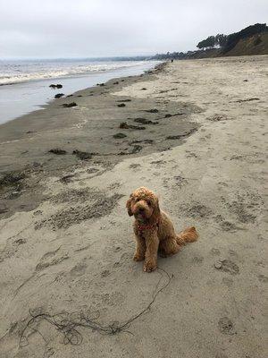 Loves long walks on the beach.