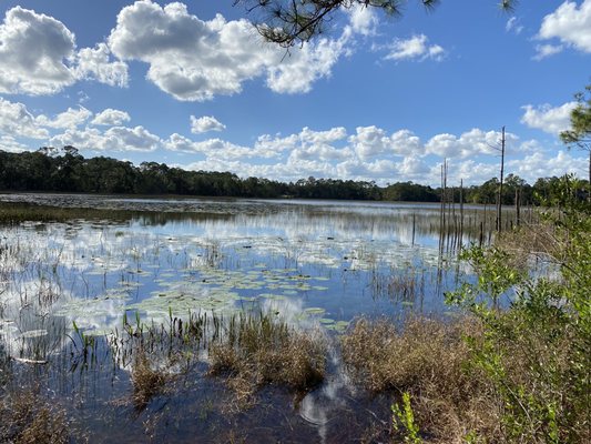 Lake Proctor Wilderness Area