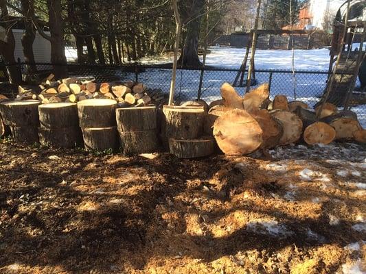 Mark and his crew cut it down and stacked the wood neatly behind the garage. No more falling branches and a safe dog!