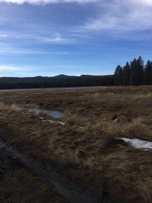 Mountain in the background