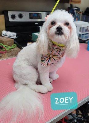 Zoey lookong pretty after her spa day.