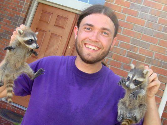 Humane Raccoon Removal Sacramento