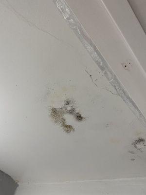 Mold