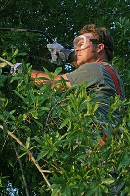 Tree Trimming