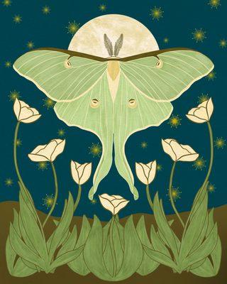 Luna moth original art print created in Procreate by Asheville artist Julie McMillan of Silver Birch Studio.