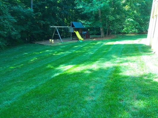 Back yard and play ground mowing maintenance