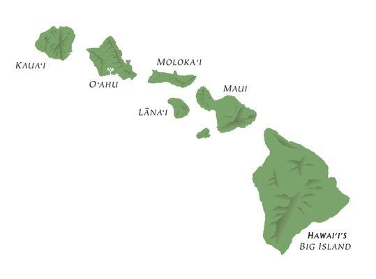 TAX SERVICES! 20% DISCOUNT ON YOUR TAX PREPARATION FEE! We welcome all neighboring islands! Offer ends March 11, 2019 Contact us today!