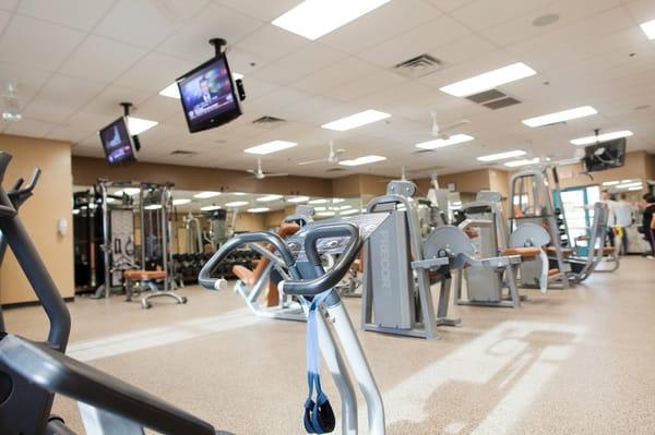 Metabolic Wellness Centers Interior