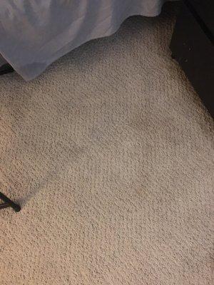 Five Star Carpet & Tile Cleaning