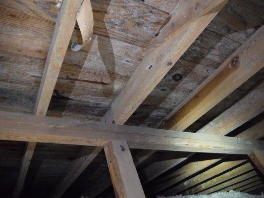 Mold Growth at Underside of Attic Roof Decking