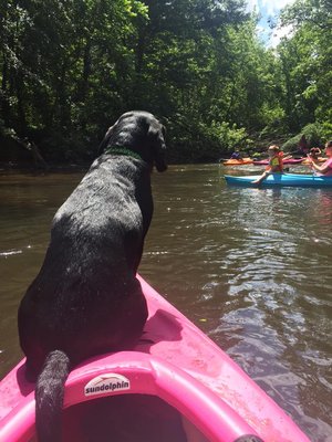 Bo Kayaking.