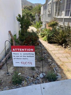 Walkway and signage on Metropole Ave to help direct visitors to our (hard to find) entrance.