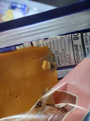 Moldy cheese