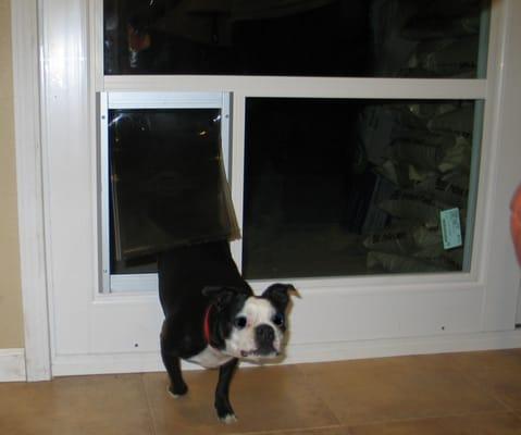 Pet Door in Patio Slider