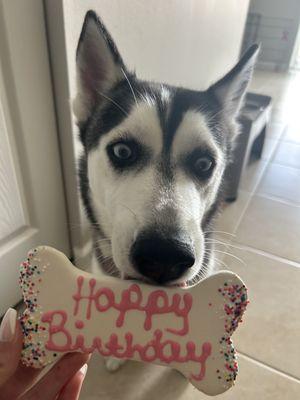 Celebrating her 1st birthday