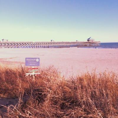 Beautiful day on Folly Beach!