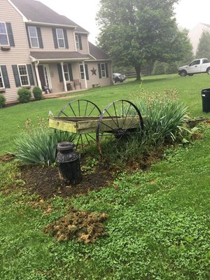 Flower Bed cleanup. Before: