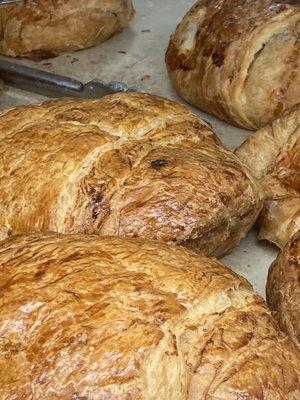 Ham and cheese croissant with a fly hopping from each one