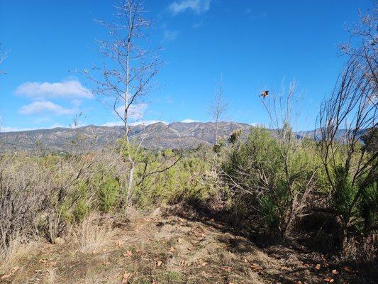 Ojai Valley Land Conservancy