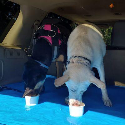 Two very good girls enjoying their pup cream treat from Quite Fetching Bakery in Grafton, MA!