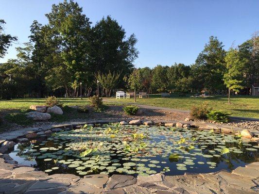 Pond outside meditation hall