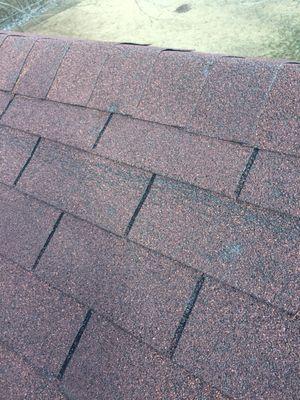 Wind damaged shingles