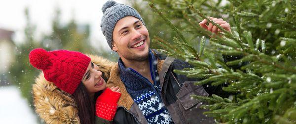 Picking the perfect Real Christmas Tree