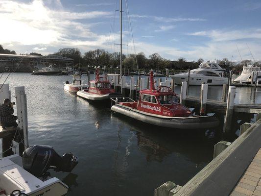 TowBoat Falmouth's Boats in Falmouth Harbor