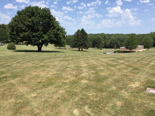 One of the open, rolling fields at Mt. Olivet Cemetery