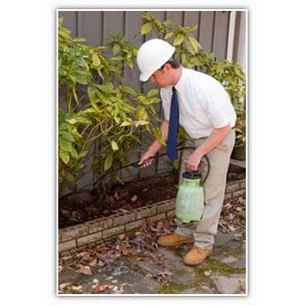 Parsley's Pest & Weed Control