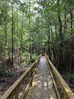 Hiking trail leading to small creek with benches.