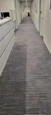 Carpet cleaning