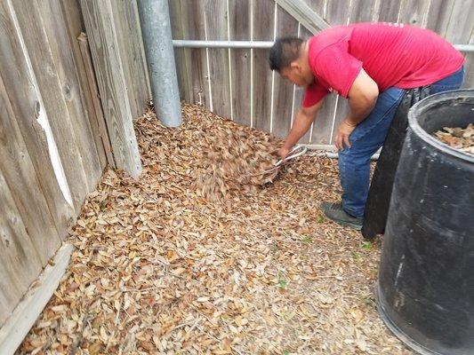 We do leaf clean up.