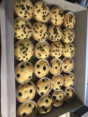 Chocolate chip muffins and blueberry muffins