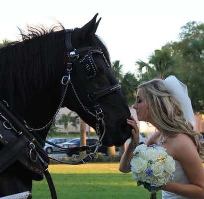 Bride thanking our carriage horse bill for a great ride!